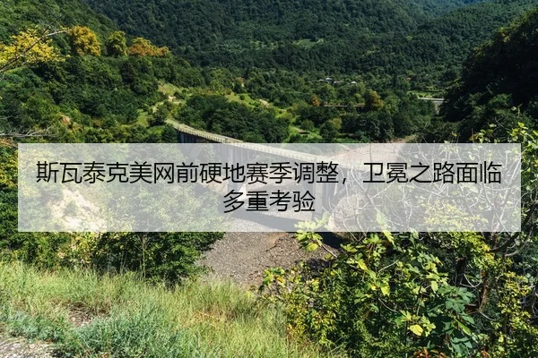 si-wa-tai-ke-mei-wang-qian-ying-di-sai-ji-tiao-zheng-wei-mian-zhi-lu-mian-lin-duo-zhong-kao-yan-2-614.jpg